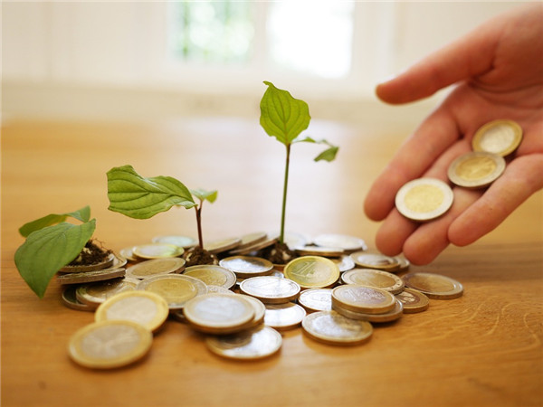 返程投資可設(shè)立的企業(yè)類(lèi)型